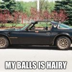 77 Trans Am | MY BALLS IS HAIRY | image tagged in 77 trans am | made w/ Imgflip meme maker