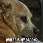 Shane  leave me alone  | WHERE IS MY BACON? | image tagged in shane  leave me alone | made w/ Imgflip meme maker