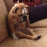 Sad bulldog | MY OWNER BROKE UP WITH ME | image tagged in sad bulldog | made w/ Imgflip meme maker