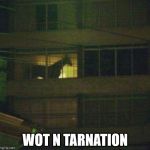 Wot in tarnation | WOT N TARNATION | image tagged in wot in tarnation | made w/ Imgflip meme maker