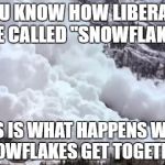 Avalanche | YOU KNOW HOW LIBERALS ARE CALLED "SNOWFLAKES"; THIS IS WHAT HAPPENS WHEN SNOWFLAKES GET TOGETHER. | image tagged in avalanche | made w/ Imgflip meme maker