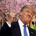 SpringTrump