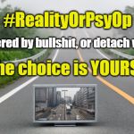 Reality or PsyOp? | #RealityOrPsyOp; be triggered by bullshit, or detach with Love; the choice is YOURS | image tagged in fake reality,detach,love,choose | made w/ Imgflip meme maker