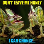 He can you know... :) | DON'T LEAVE ME HONEY; I CAN CHANGE... | image tagged in chameleons,memes,animals | made w/ Imgflip meme maker