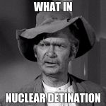 What in tarnation | WHAT IN; NUCLEAR DETINATION | image tagged in what in tarnation | made w/ Imgflip meme maker