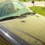 Pollen Covered Car meme