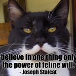 Stalin cat | I believe in one thing only, the power of feline will. - Joseph Stalcat | image tagged in stalin cat | made w/ Imgflip meme maker
