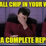 Stupid Rocks | WHEN A SMALL CHIP IN YOUR WINDSHIELD; REQUIRES A COMPLETE REPLACEMENT | image tagged in flying debris,windshield,picard riker worf triple facepalm | made w/ Imgflip meme maker