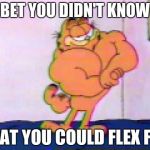 Muscular Garfield the Cat | BET YOU DIDN'T KNOW; THAT YOU COULD FLEX FAT | image tagged in muscular garfield the cat | made w/ Imgflip meme maker