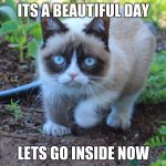 grumpy cat outside | ITS A BEAUTIFUL DAY; LETS GO INSIDE NOW | image tagged in grumpy cat outside | made w/ Imgflip meme maker