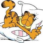 Garfield