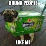 beer pug | DRUNK PEOPLE; LIKE ME | image tagged in beer pug | made w/ Imgflip meme maker