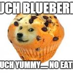 doge muffin | SUCH BLUEBERRY; MUCH YUMMY.....
NO EATEY | image tagged in doge muffin | made w/ Imgflip meme maker