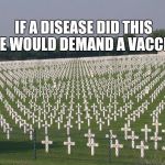 ww2 graves | IF A DISEASE DID THIS WE WOULD DEMAND A VACCINE | image tagged in ww2 graves | made w/ Imgflip meme maker