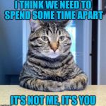 The "talk". | I THINK WE NEED TO SPEND SOME TIME APART; IT'S NOT ME, IT'S YOU | image tagged in serious cat,memes | made w/ Imgflip meme maker