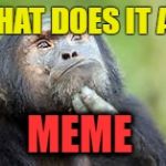 thinker chimp | WHAT DOES IT ALL; MEME | image tagged in thinker chimp | made w/ Imgflip meme maker