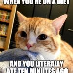 Diet tip: Pants can't get too tight if you don't wear any. | WHEN YOU'RE ON A DIET; AND YOU LITERALLY ATE TEN MINUTES AGO | image tagged in cat diet,diet,bacon,tip,pants | made w/ Imgflip meme maker