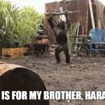 harambe jr. | THIS IS FOR MY BROTHER, HARAMBE | image tagged in harambe,guns,memes,animals,funny | made w/ Imgflip meme maker