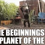 wtf is a charlton heston  | THE BEGINNINGS OF THE PLANET OF THE APES | image tagged in when animals attack,planet of the apes,memes,guns,apes | made w/ Imgflip meme maker