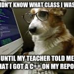 coding k9 | I DIDN'T KNOW WHAT CLASS I WAS IN; UNTIL MY TEACHER TOLD ME THAT I GOT A C++ ON MY REPORT | image tagged in coding k9 | made w/ Imgflip meme maker
