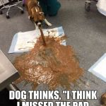 dog vomit | HUMAN THINKS, "I THINK I GAVE HIM THE WRONG FOOD."; DOG THINKS, "I THINK I MISSED THE PAD. GREAT FOOD, THOUGH." | image tagged in dog vomit | made w/ Imgflip meme maker