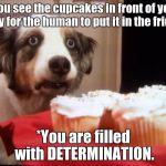 Undertale reference.  | *You see the cupcakes in front of you, only for the human to put it in the fridge. *You are filled with DETERMINATION. | image tagged in cupcake dog | made w/ Imgflip meme maker