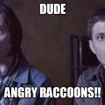 Supernatural | DUDE; ANGRY RACCOONS!! | image tagged in supernatural | made w/ Imgflip meme maker