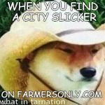 what in tarnation | WHEN YOU FIND A CITY SLICKER; ON FARMERSONLY.COM | image tagged in what in tarnation | made w/ Imgflip meme maker