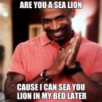 pick up lines. | ARE YOU A SEA LION; CAUSE I CAN SEA YOU LION IN MY BED LATER | image tagged in pick up lines | made w/ Imgflip meme maker