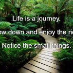 Path  | Life is a journey. Slow down and enjoy the ride. Notice the small things. | image tagged in path | made w/ Imgflip meme maker