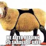 sexy sheep | ME AFTER READING 50 SHADES OF GREY | image tagged in sexy sheep | made w/ Imgflip meme maker