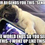 Pugs | WHEN YOUR BF SENDS YOU THIS "SEND ME A PIC"; THE WORLD ENDS SO YOU SEND THIS -I WOKE UP LIKE THIS- | image tagged in pugs | made w/ Imgflip meme maker
