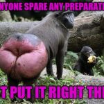 Monkey Ass | CAN ANYONE SPARE ANY PREPARATION H? JUST PUT IT RIGHT THERE | image tagged in monkey ass | made w/ Imgflip meme maker