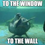 WhAt ThE.. | TO THE WINDOW; TO THE WALL | image tagged in memes,funny,lmao,lol,featured,happy | made w/ Imgflip meme maker