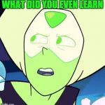 Peridot is like what - Steven Universe | WHAT DID YOU EVEN LEARN | image tagged in peridot is like what - steven universe | made w/ Imgflip meme maker