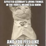 Aristocat | WHEN YOU KNOW HOW ACID RAIN AFFECTED GERMANY'S LIVING THINGS IN THE 1900'S. NO ONE ELSE KNEW. AND YOU FEEL LIKE YOU ARE SO OLD | image tagged in aristocat | made w/ Imgflip meme maker