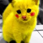My mom said I can be anything | MY MOM SAID I COULD BE ANYTHING; I PICK PIKACHU | image tagged in my mom said i can be anything | made w/ Imgflip meme maker