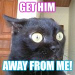 Cats | GET HIM; AWAY FROM ME! | image tagged in cats | made w/ Imgflip meme maker