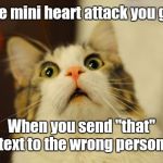 Oh sh!t | The mini heart attack you get; When you send "that" text to the wrong person | image tagged in cat surprised,memes,cats,texting | made w/ Imgflip meme maker