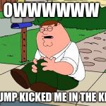 Family Guy Knee | OWWWWWW; TRUMP KICKED ME IN THE KNEE | image tagged in family guy knee | made w/ Imgflip meme maker