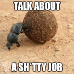 Hard Working Dung Beetle | TALK ABOUT; A SH*TTY JOB | image tagged in hard working dung beetle | made w/ Imgflip meme maker
