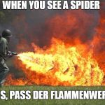 flammenwerfer | WHEN YOU SEE A SPIDER; HANS, PASS DER FLAMMENWERFER | image tagged in flammenwerfer | made w/ Imgflip meme maker