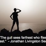 Motivation | “The gull sees farthest who flies highest.” 
- Jonathan Livingston Seagull | image tagged in motivation,woke | made w/ Imgflip meme maker