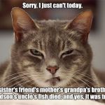 Sarcasm Cat "Tragic" | Sorry, I just can't today. My sister's friend's mother's grandpa's brother's grandson's uncle's fish died. and yes, it was tragic. | image tagged in sarcasm cat,cat,cats,memes,funny | made w/ Imgflip meme maker