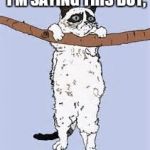 Hang in there grumpy cat | I CANT BELIEVE I'M SAYING THIS BUT, HELP ME HUMAN | image tagged in hang in there grumpy cat | made w/ Imgflip meme maker
