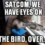 Sniper Cat | SATCOM, WE HAVE EYES ON; THE BIRD, OVER... | image tagged in sniper cat | made w/ Imgflip meme maker