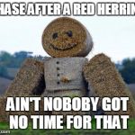 Strawman | CHASE AFTER A RED HERRING; AIN'T NOBOBY GOT NO TIME FOR THAT | image tagged in strawman | made w/ Imgflip meme maker
