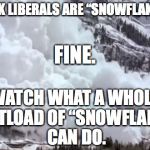 Avalanche | THINK LIBERALS ARE “SNOWFLAKES”? FINE. WATCH WHAT A WHOLE SHITLOAD OF “SNOWFLAKES” CAN DO. | image tagged in avalanche | made w/ Imgflip meme maker