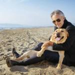 bocelli cane