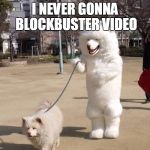 white dog | I NEVER GONNA BLOCKBUSTER VIDEO | image tagged in white dog | made w/ Imgflip meme maker